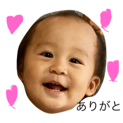 [LINEスタンプ] たからとの生活
