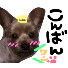 [LINEスタンプ] とあちゃん劇場