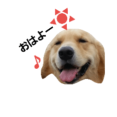 [LINEスタンプ] クンちゃんライフ