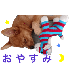 [LINEスタンプ] 小次朗！