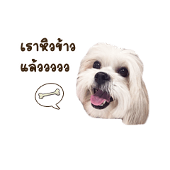 [LINEスタンプ] Itim ＆ Minnie Dog lover