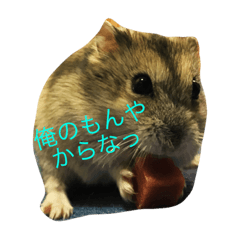 [LINEスタンプ] ハムちゃんずの怠惰