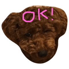 [LINEスタンプ] ajdg