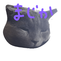 [LINEスタンプ] TAKUKOMAMU