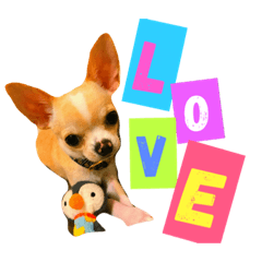 [LINEスタンプ] kanobits1