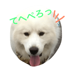 [LINEスタンプ] グレートピレニーズ ノエたん