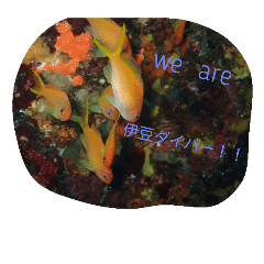 [LINEスタンプ] 伊豆ダイバー