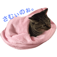 [LINEスタンプ] 愉快な前田家