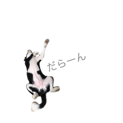 [LINEスタンプ] faith2