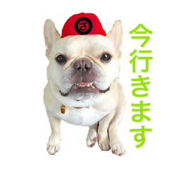 [LINEスタンプ] 肉かつらおじさん♂さくらの日常 ④