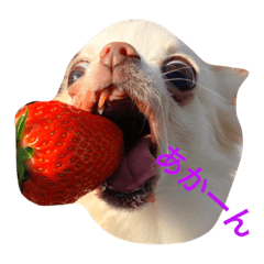 [LINEスタンプ] 顔とセリフが合ってないシリーズ
