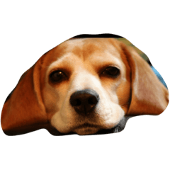 [LINEスタンプ] Lucy the beagle