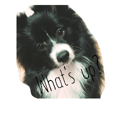 [LINEスタンプ] monjp