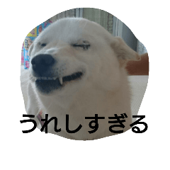 [LINEスタンプ] もふぞうの日常