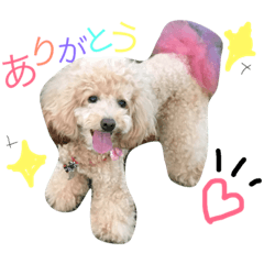 [LINEスタンプ] いぬといぬといぬ