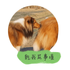 [LINEスタンプ] Sheltie baby