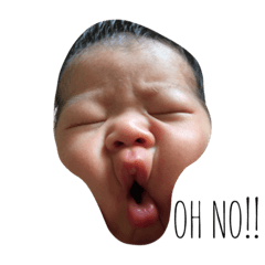 [LINEスタンプ] かりんとあんず①