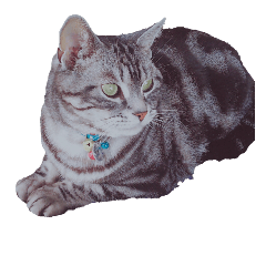 [LINEスタンプ] ニモ 福 幸 ジジ
