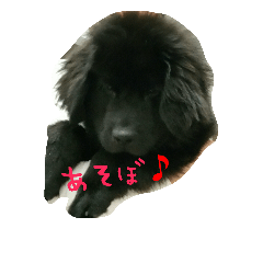 [LINEスタンプ] 大空飛の呟き