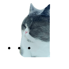 [LINEスタンプ] doubutu sutanpu