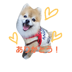 [LINEスタンプ] kotaume2