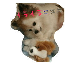 [LINEスタンプ] ティアラの呟き☺