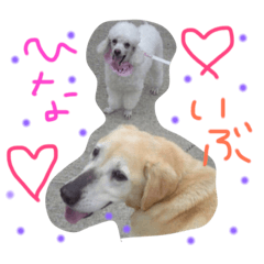 [LINEスタンプ] うちのひなちゃんライフ