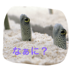 [LINEスタンプ] おけい①