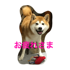 [LINEスタンプ] Everybay Momo
