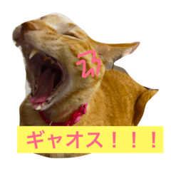 [LINEスタンプ] モモタスギザカワユス！