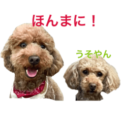 [LINEスタンプ] アンバーとリンちゃんの日常会話