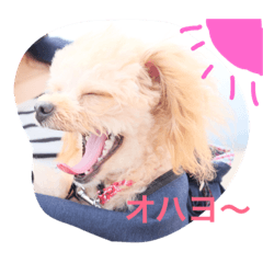[LINEスタンプ] ププちゃんスタンプ。日常バージョン