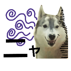 [LINEスタンプ] 我が家の犬と猫(ハスキー)