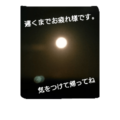 [LINEスタンプ] のんびり南の島 Yoron