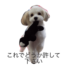 [LINEスタンプ] chobibi