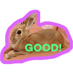 [LINEスタンプ] プリティーみるくのスタンプ