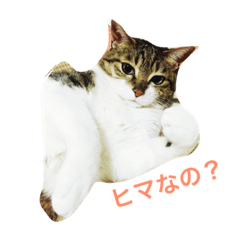 [LINEスタンプ] im mira
