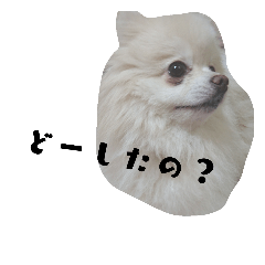 [LINEスタンプ] もかちゃんの友達