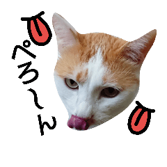 [LINEスタンプ] うにっこスタンプ2