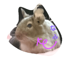 [LINEスタンプ] Nami designated(degu)