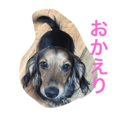 [LINEスタンプ] コア