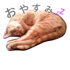 [LINEスタンプ] ta-chiku