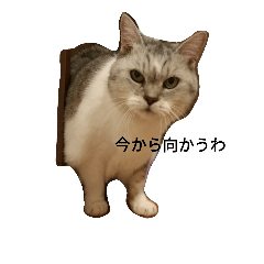 [LINEスタンプ] 猫大明神様