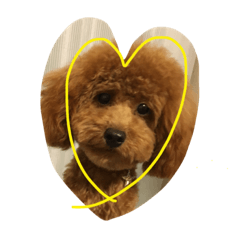 [LINEスタンプ] Roiまる