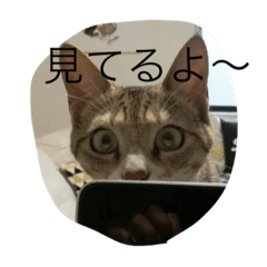 [LINEスタンプ] ハーレムとブルックリン