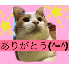[LINEスタンプ] ニャンタ vol.4
