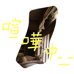 [LINEスタンプ] ゆずとでん