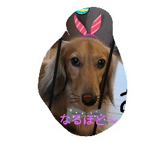 [LINEスタンプ] あるある君