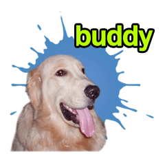 [LINEスタンプ] buddy golden