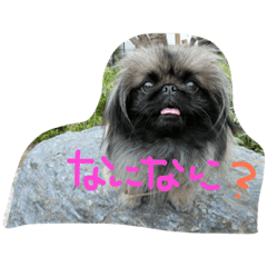 [LINEスタンプ] るなたん